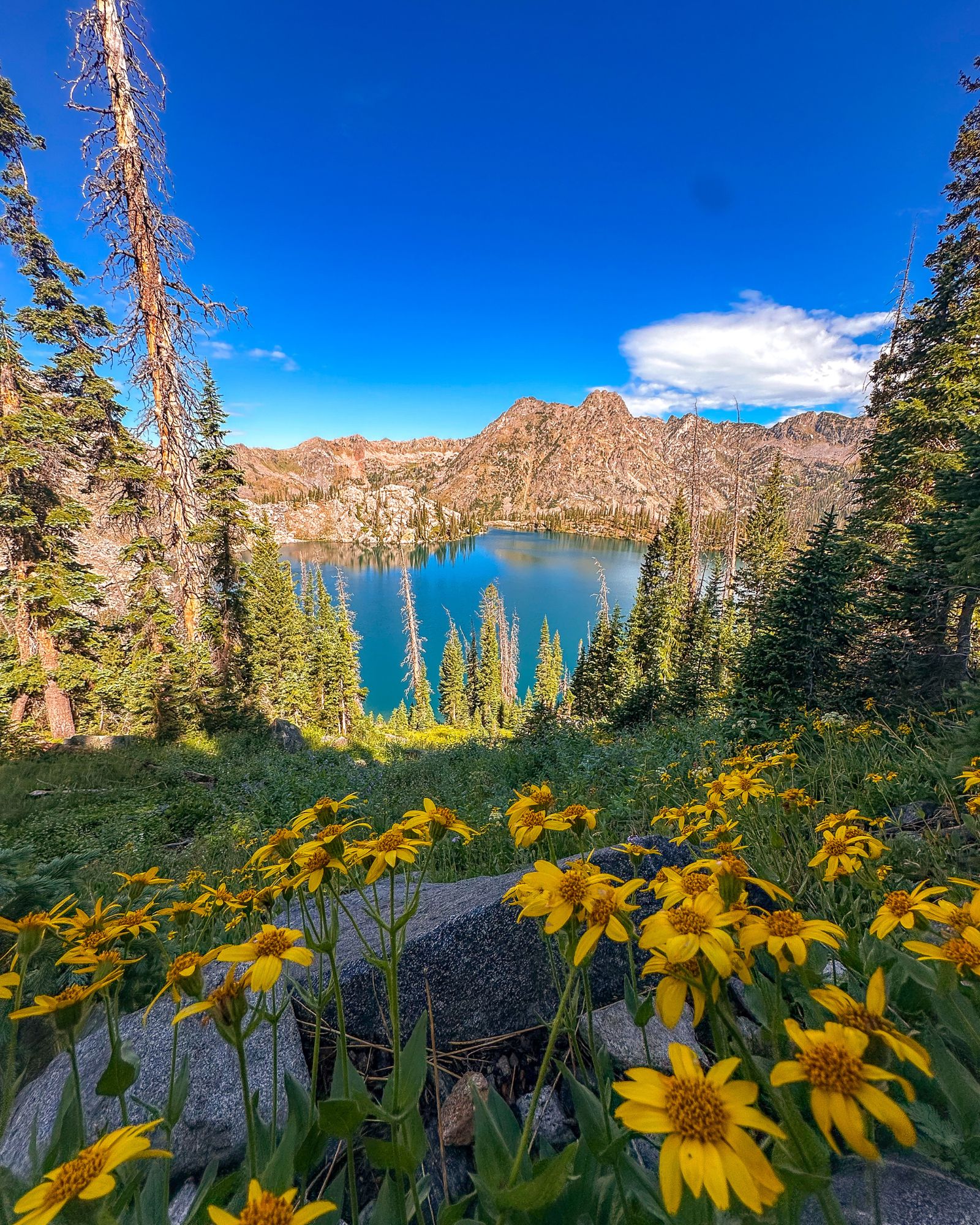 Summer recap: Germany, Colorado, and back to work