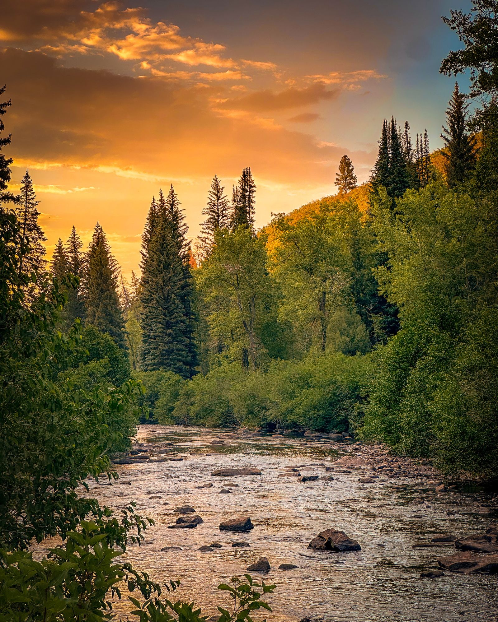 Summer recap: Germany, Colorado, and back to work