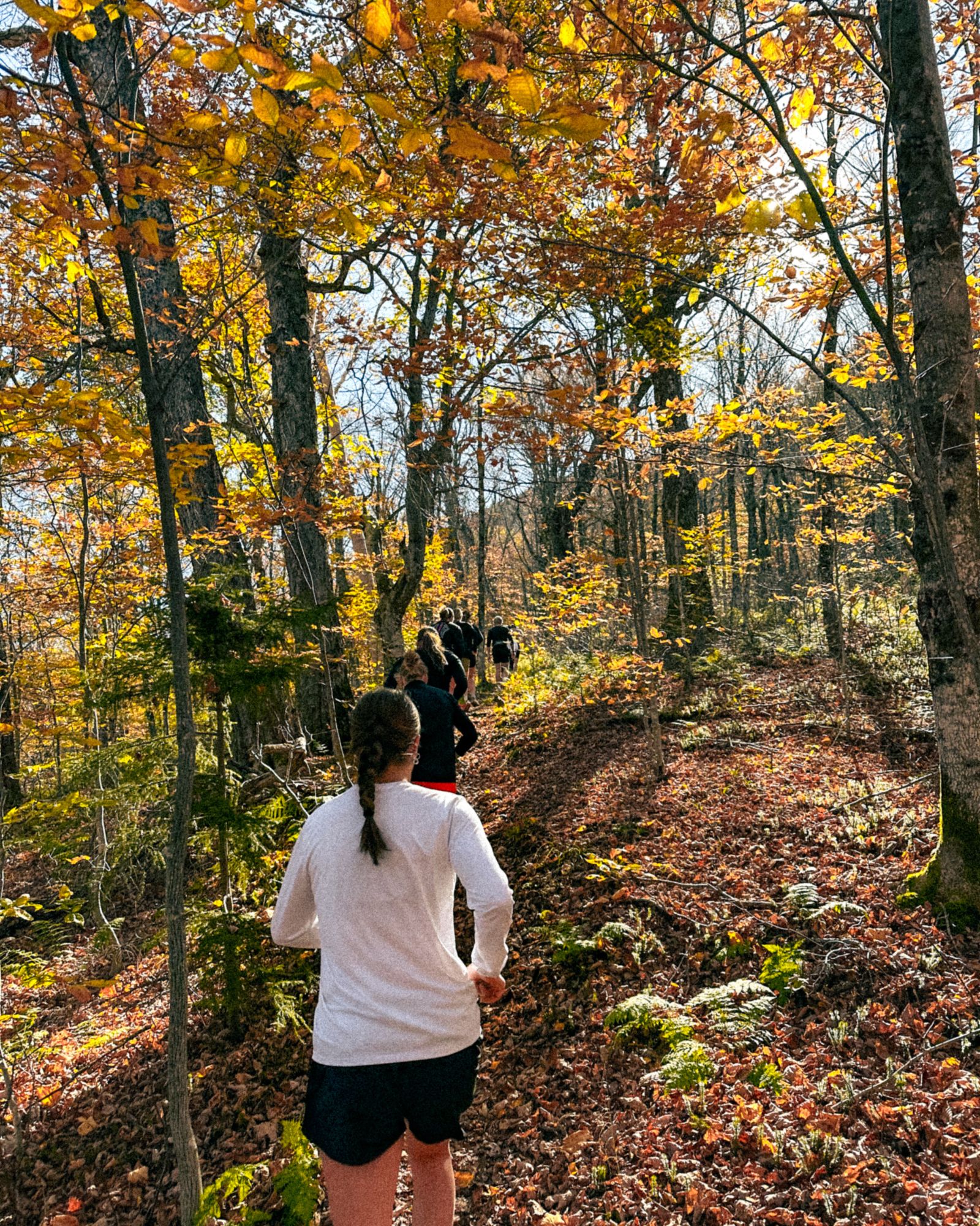 Mein erstes Jahr in Vermont